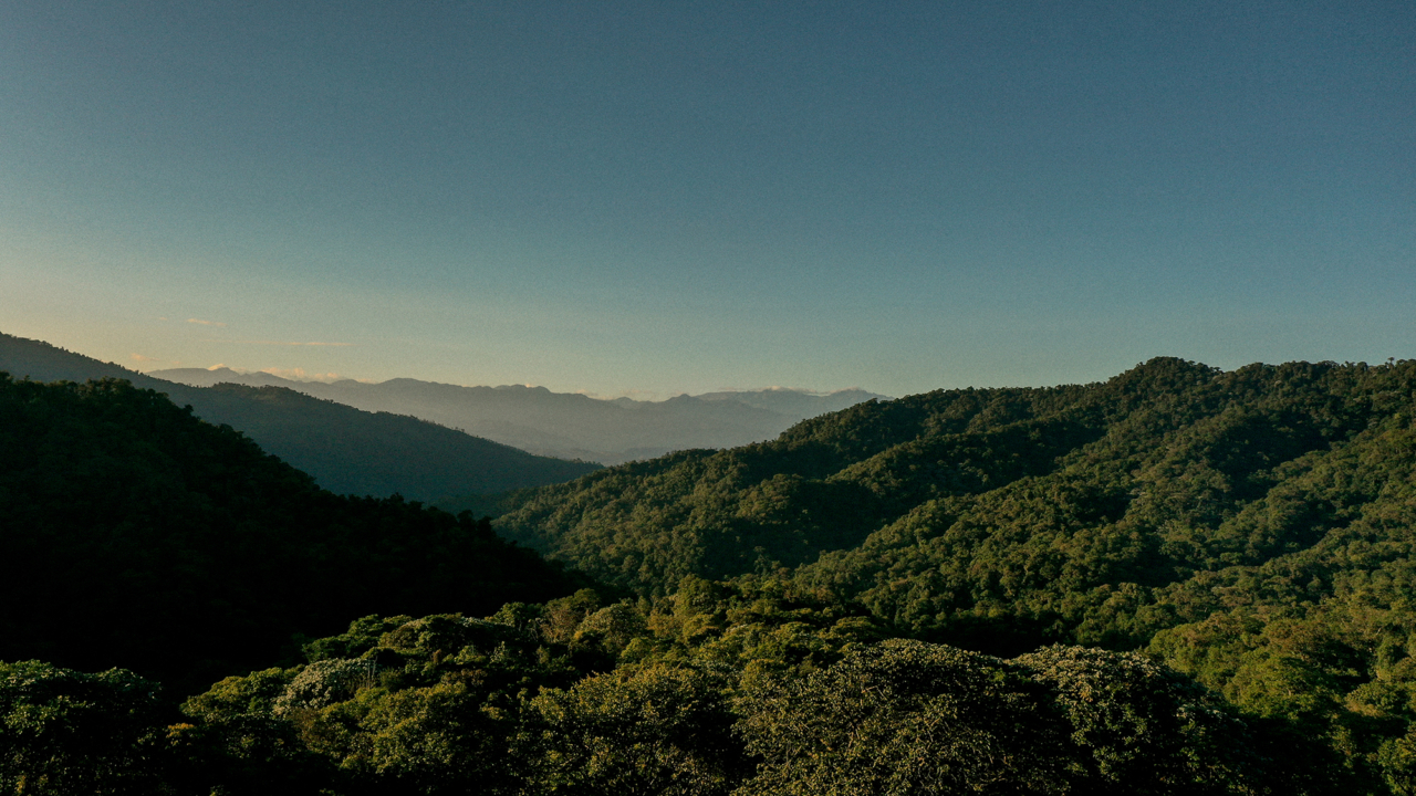 Gleeson Paulino photographs Ecuador’s Los Cedros Forest for Atmos Volume 12 print issue.