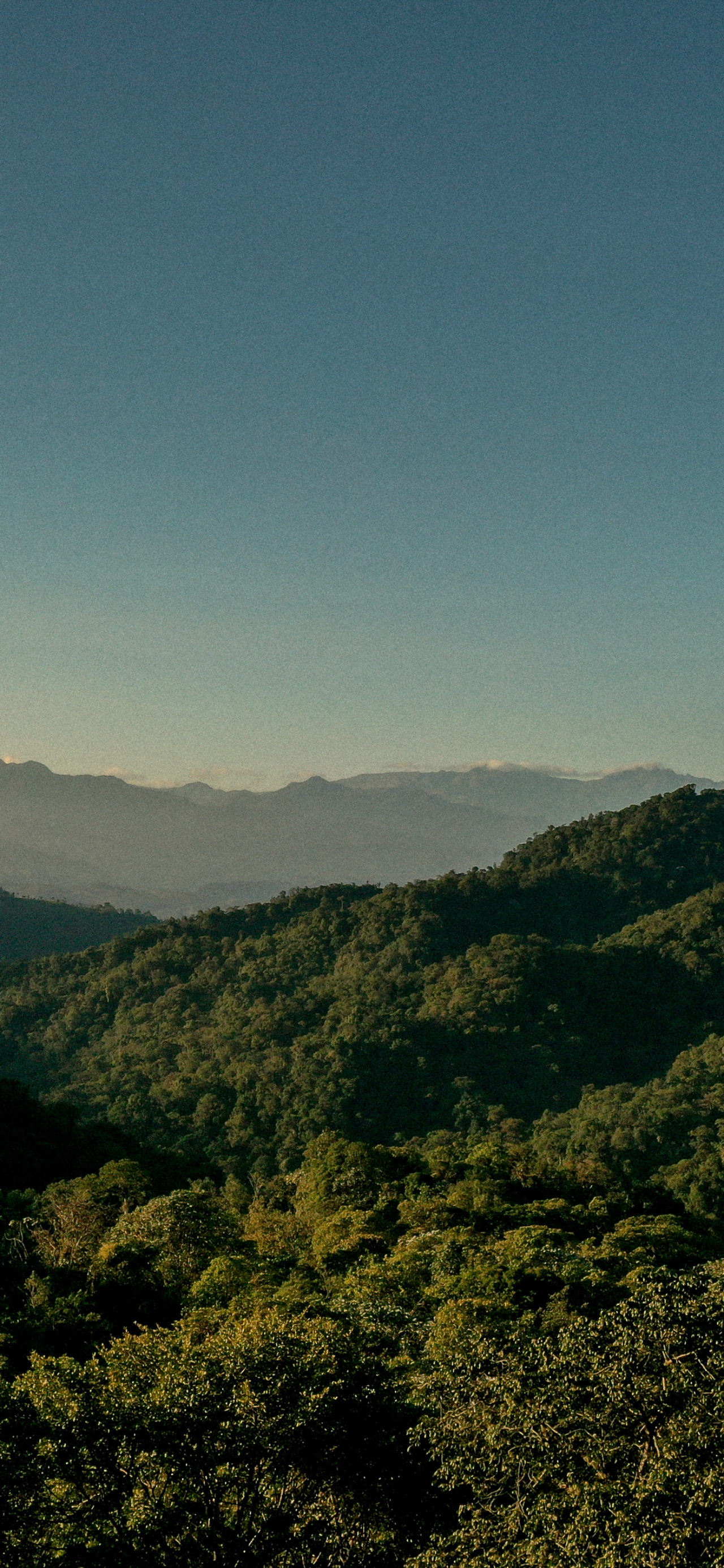 Gleeson Paulino photographs Ecuador’s Los Cedros Forest for Atmos Volume 12 print issue.