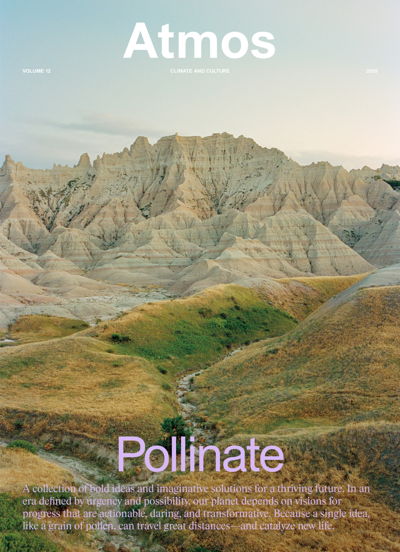 Rahim Fortune cover for Pollinate.