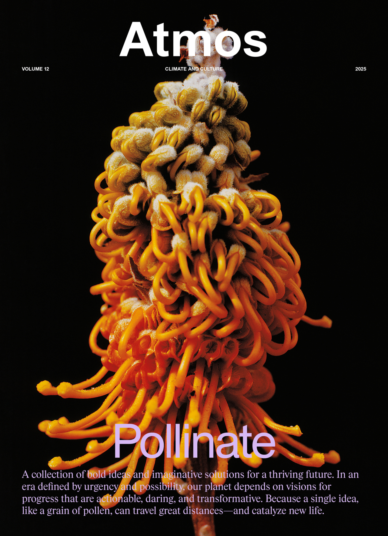 Zachary Handlet Pollinate cover