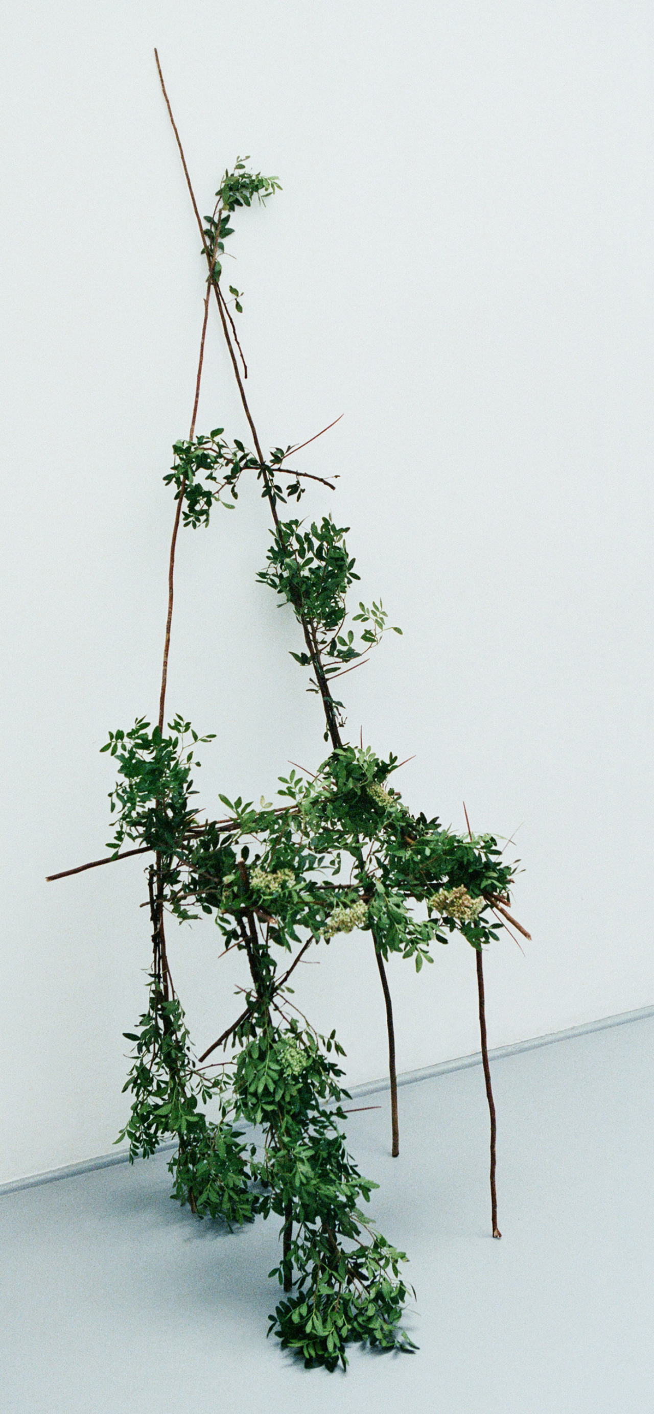 Pablo Estevez and Javier Belloso Alvarez photograph for Atmos Volume 12 print issue.