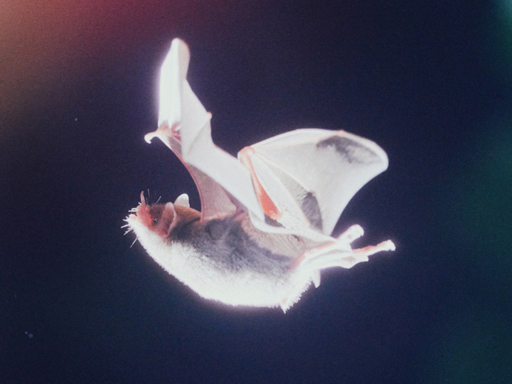 hero gallery image 3