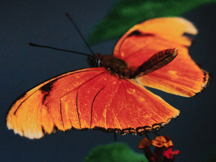 hero gallery image 16