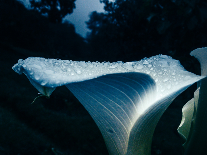 hero gallery image 14