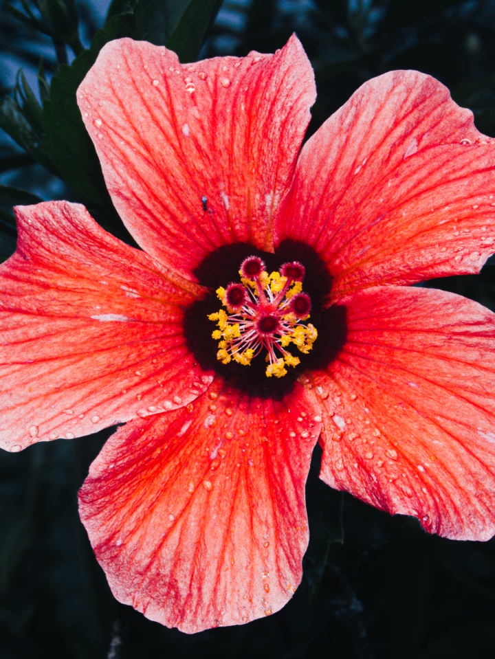 hero gallery image 15