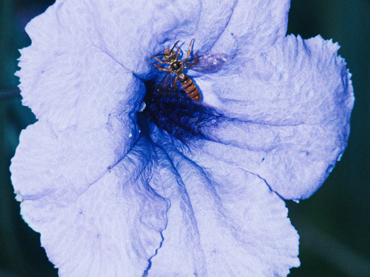 hero gallery image 11