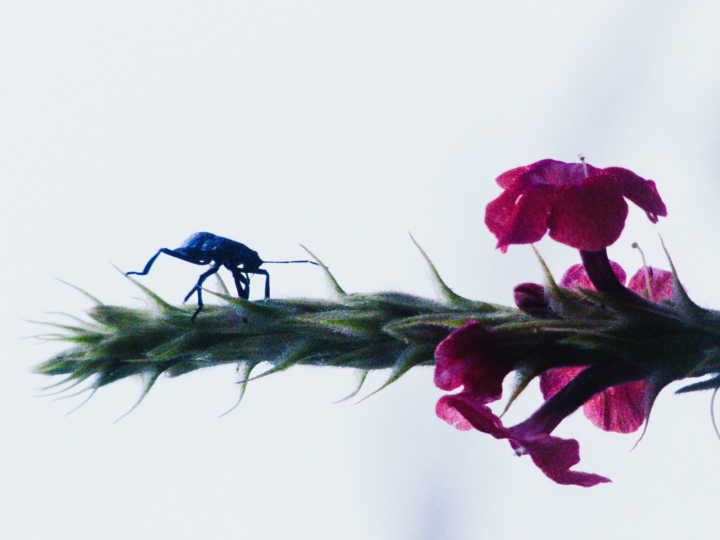 hero gallery image 7