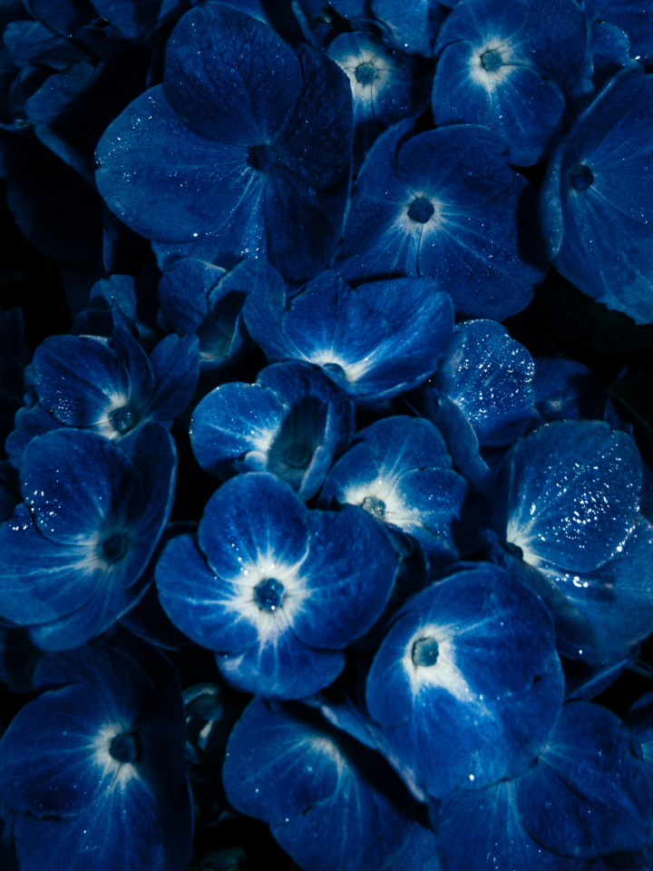 hero gallery image 13