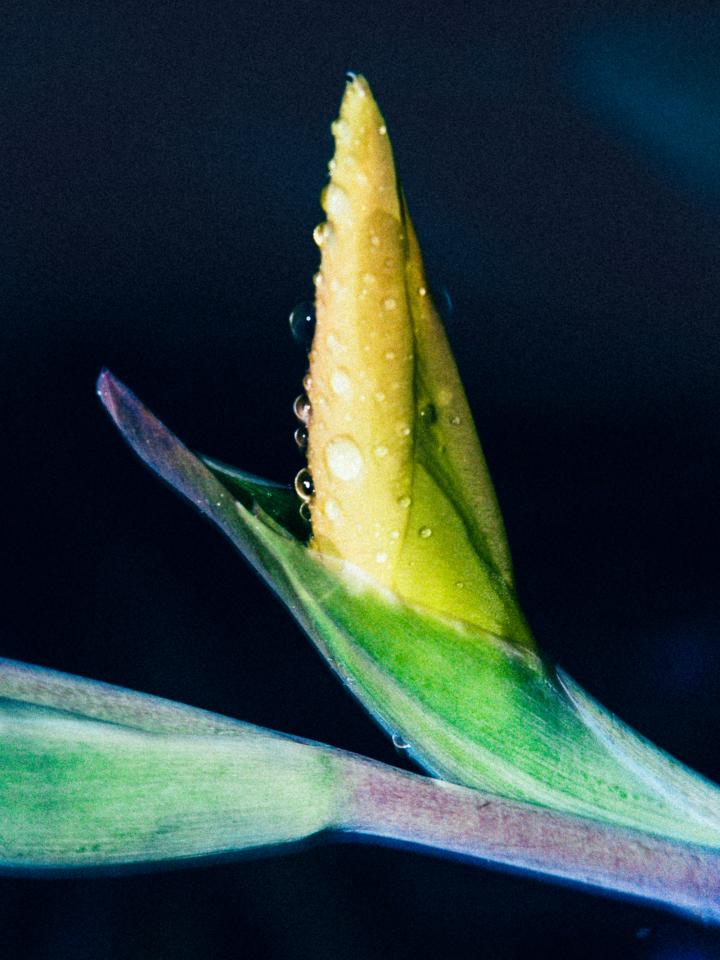 hero gallery image 17