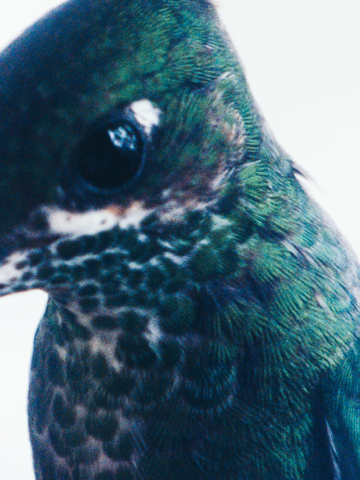 hero gallery image 12