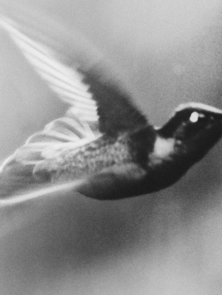 hero gallery image 22