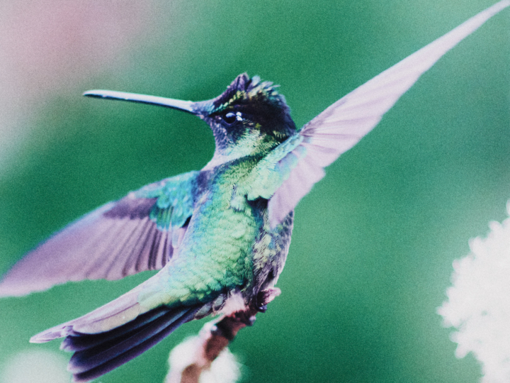 hero gallery image 10