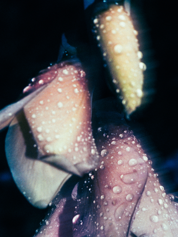 hero gallery image 9