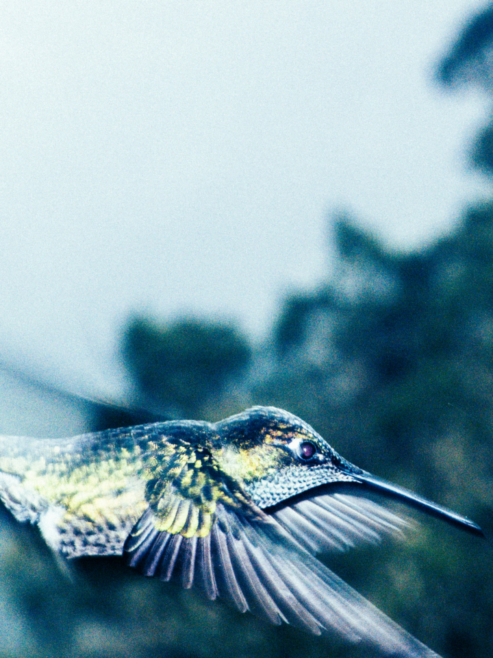 hero gallery image 6