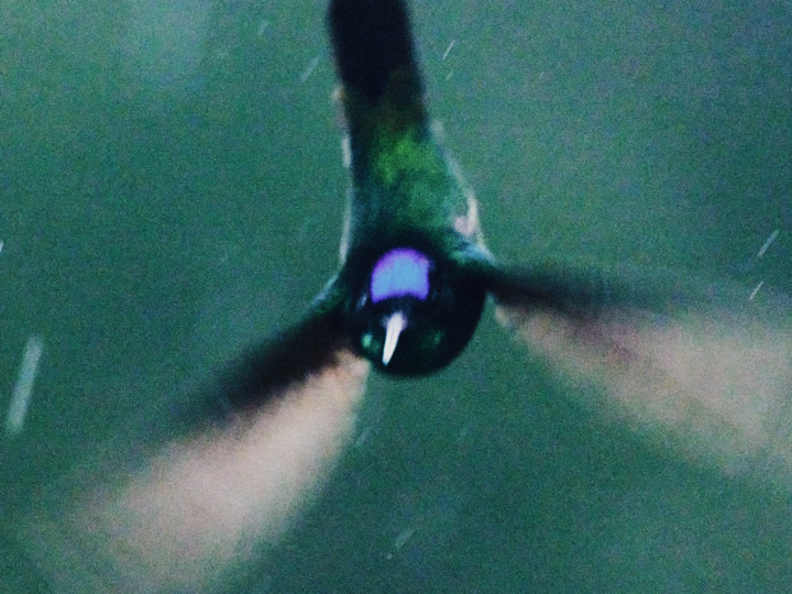 hero gallery image 20