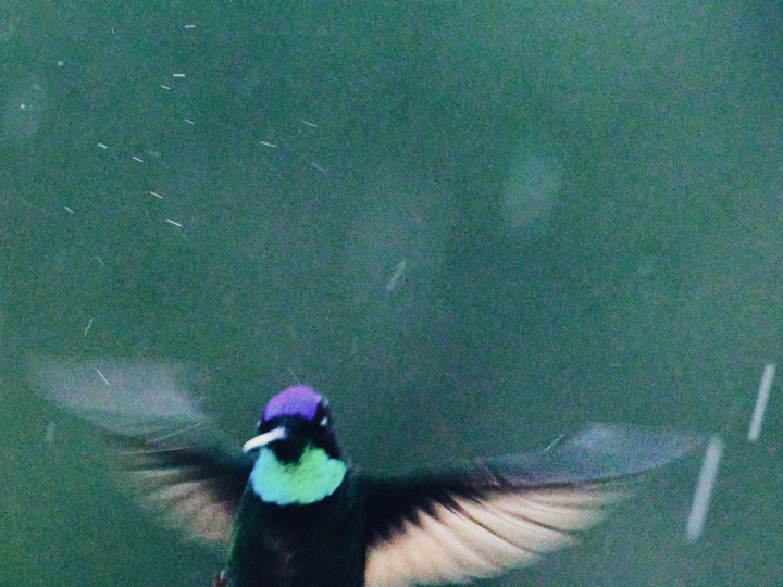 hero gallery image 21