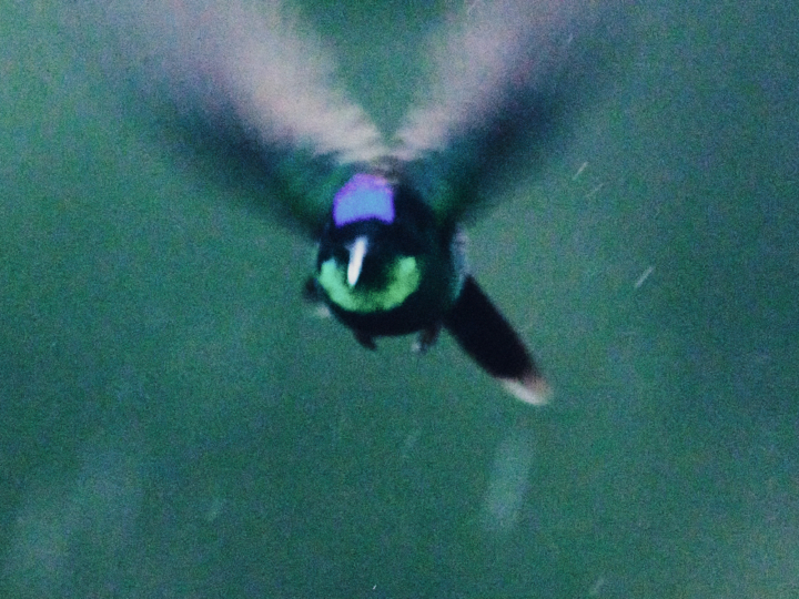 hero gallery image 19