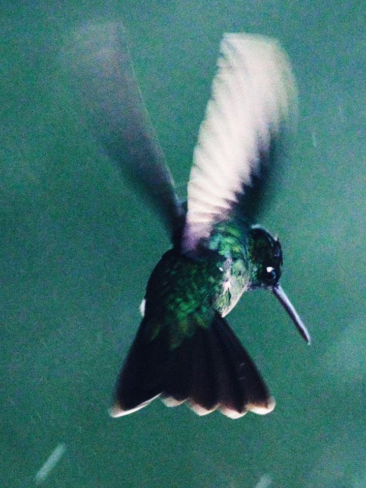 hero gallery image 18