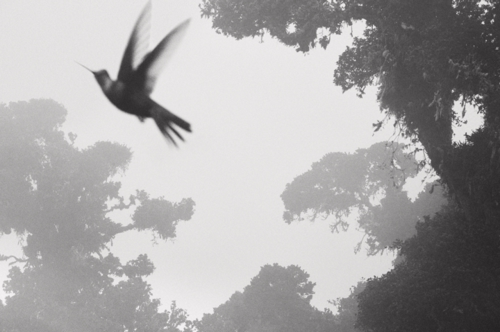 hero gallery image 23