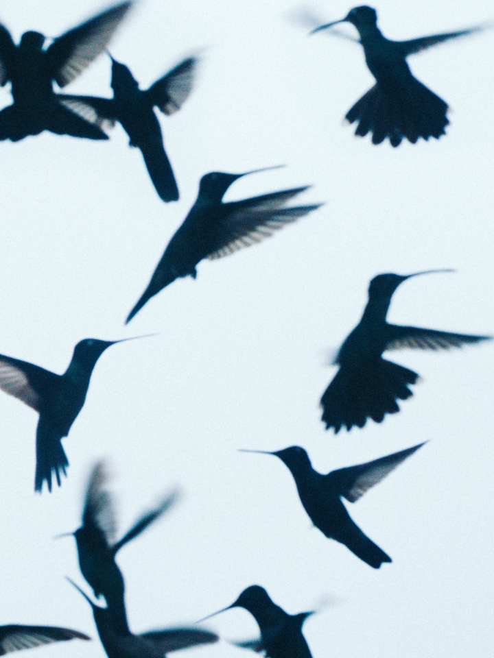 hero gallery image 5