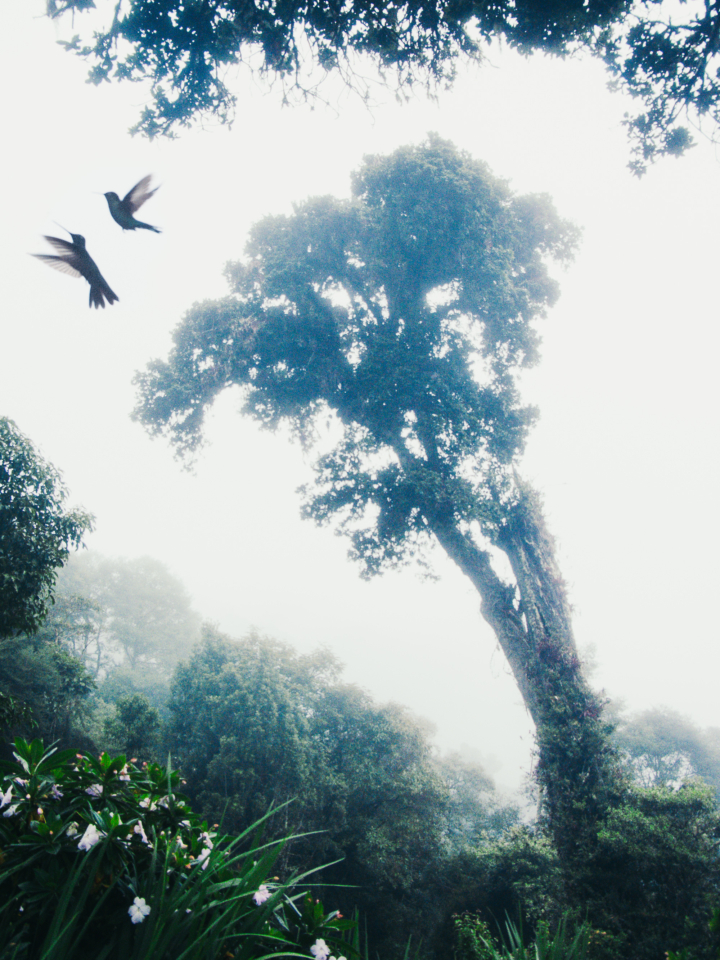 hero gallery image 2