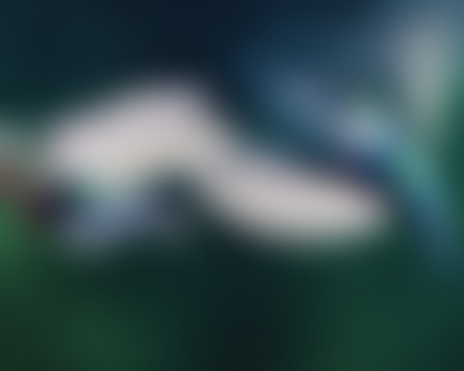 Two hummingbirds fly through the Costa Rica forest.