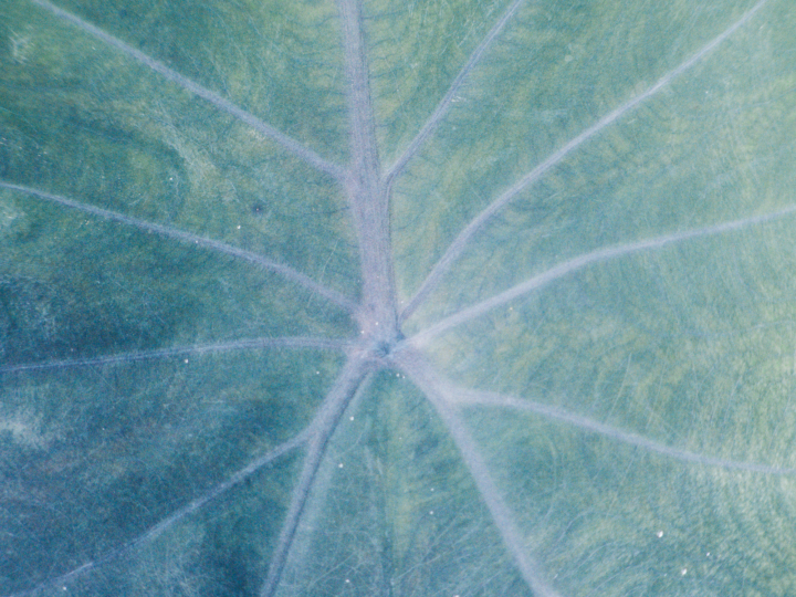 hero gallery image 4