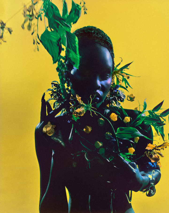 hero gallery image 3