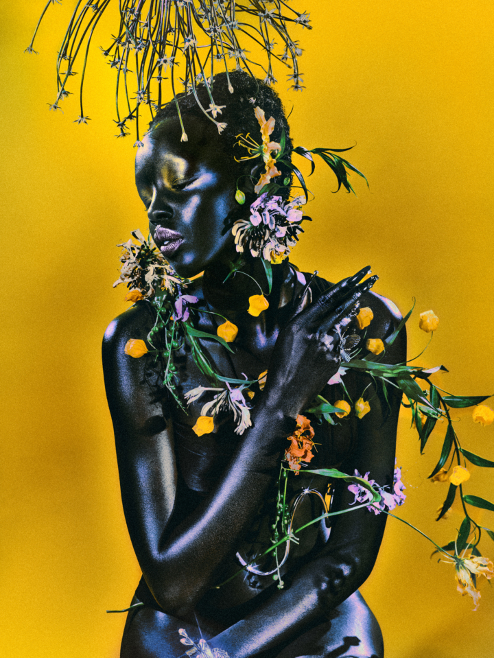 hero gallery image 2