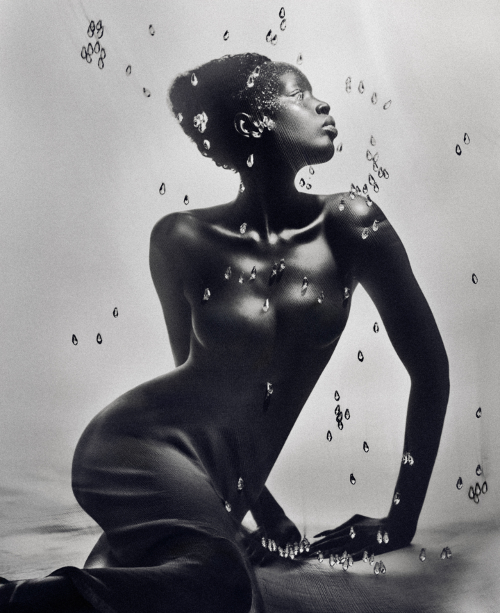 hero gallery image 20