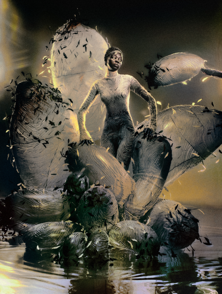 hero gallery image 21