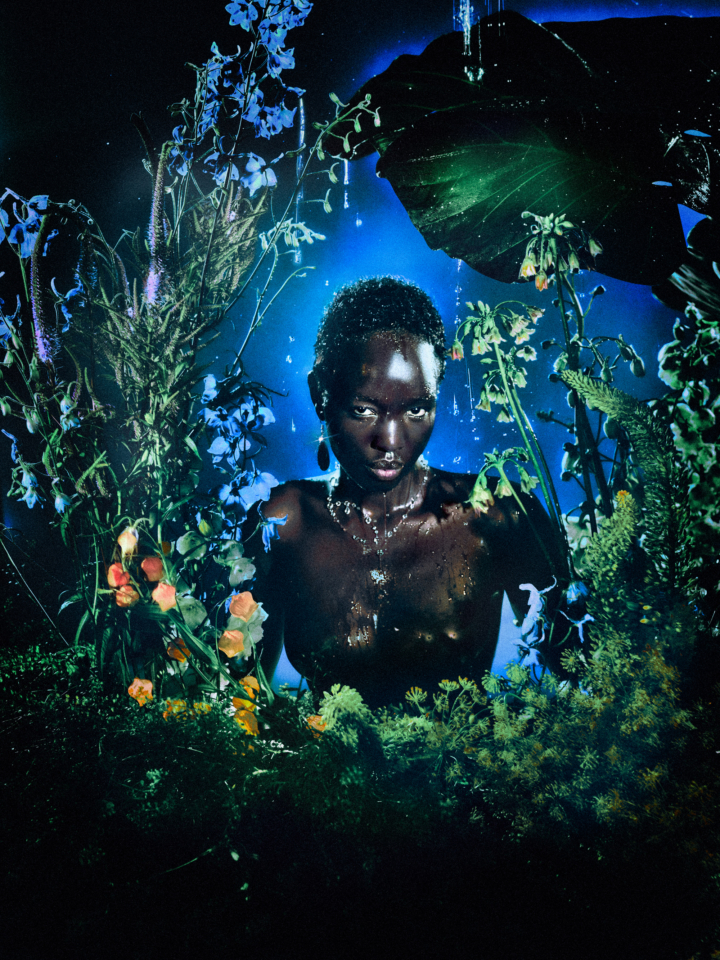 hero gallery image 10