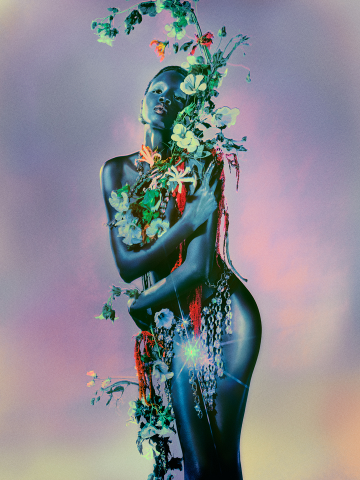 hero gallery image 5