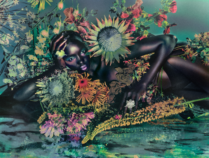 hero gallery image 8