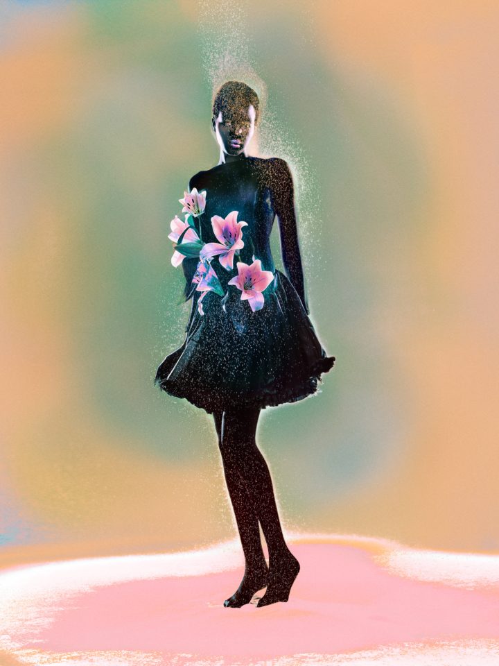 hero gallery image 16