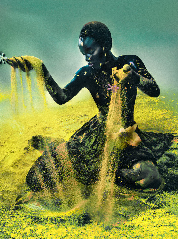 hero gallery image 15