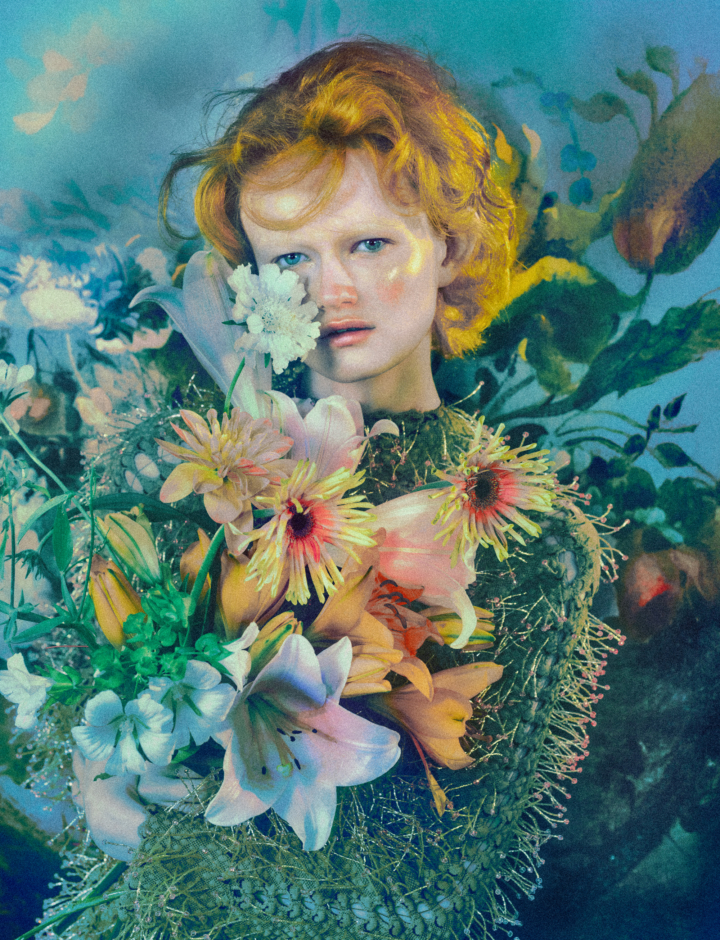 hero gallery image 7