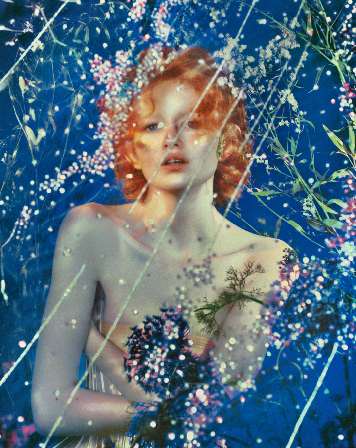 hero gallery image 9