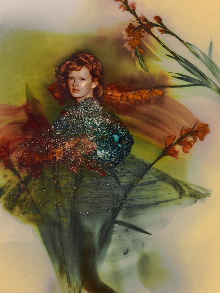 hero gallery image 14