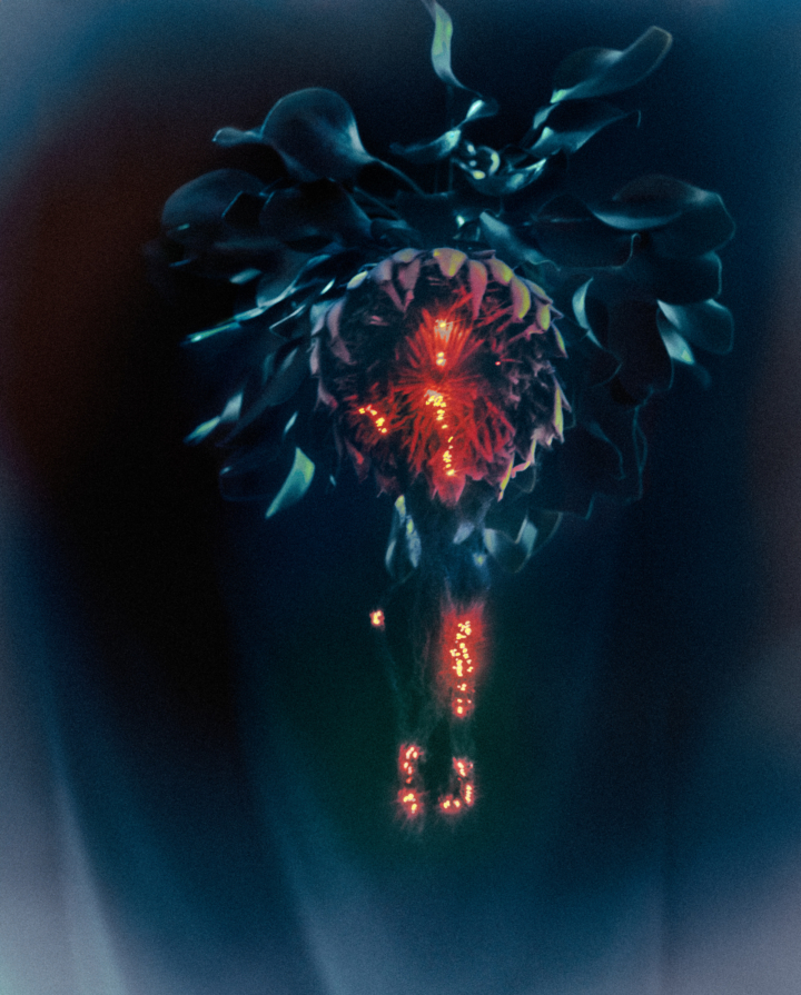 hero gallery image 11