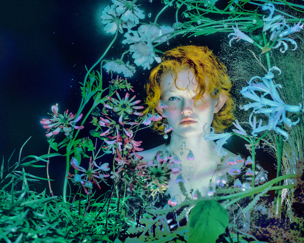 Elizaveta Porodina Traces the Inflorescence of Flowers