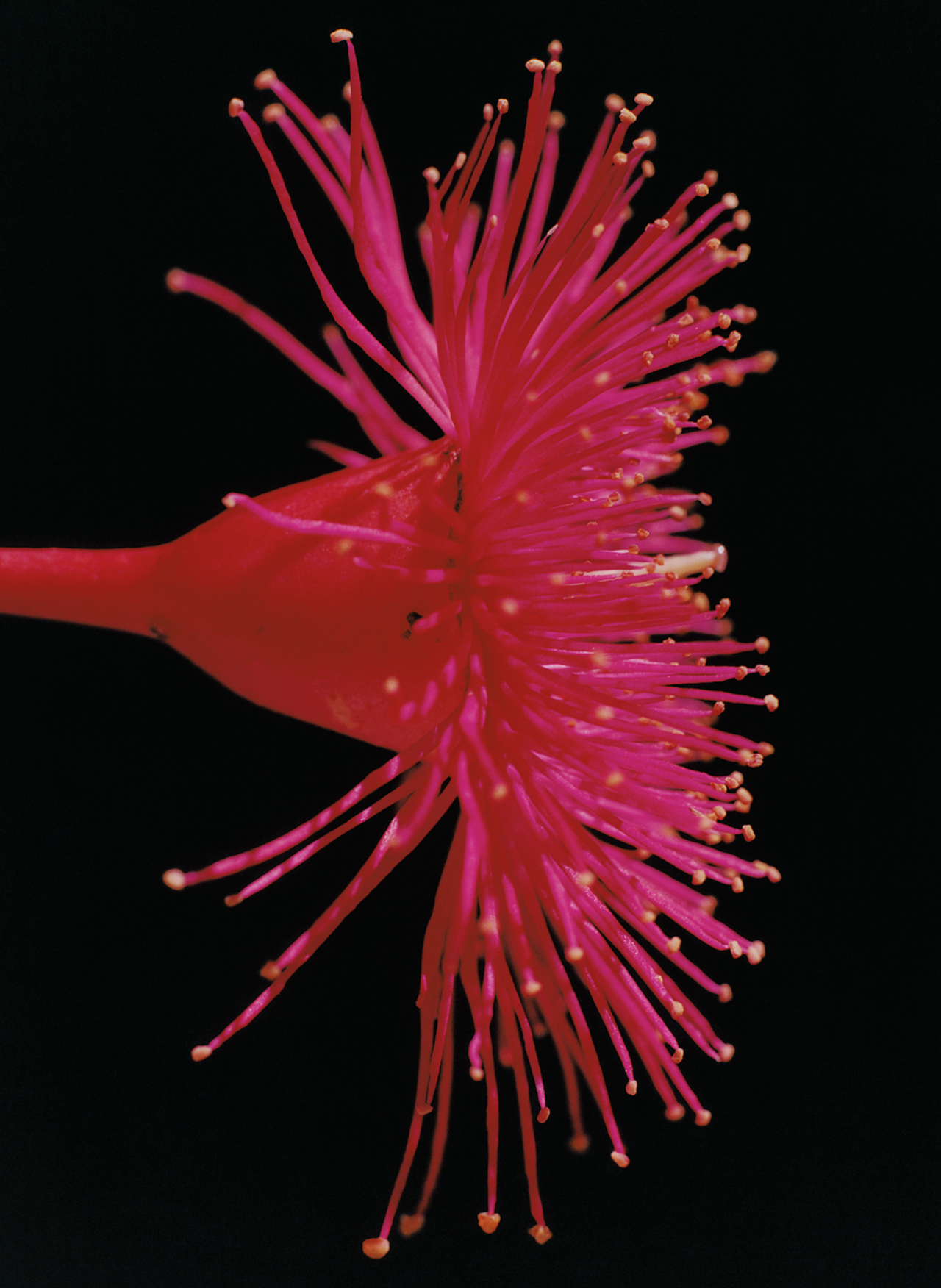 27 Bold Ideas for a Better Future—From the Experts