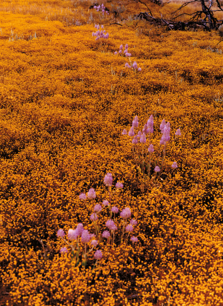 27 Bold Ideas for a Better Future—From the Experts