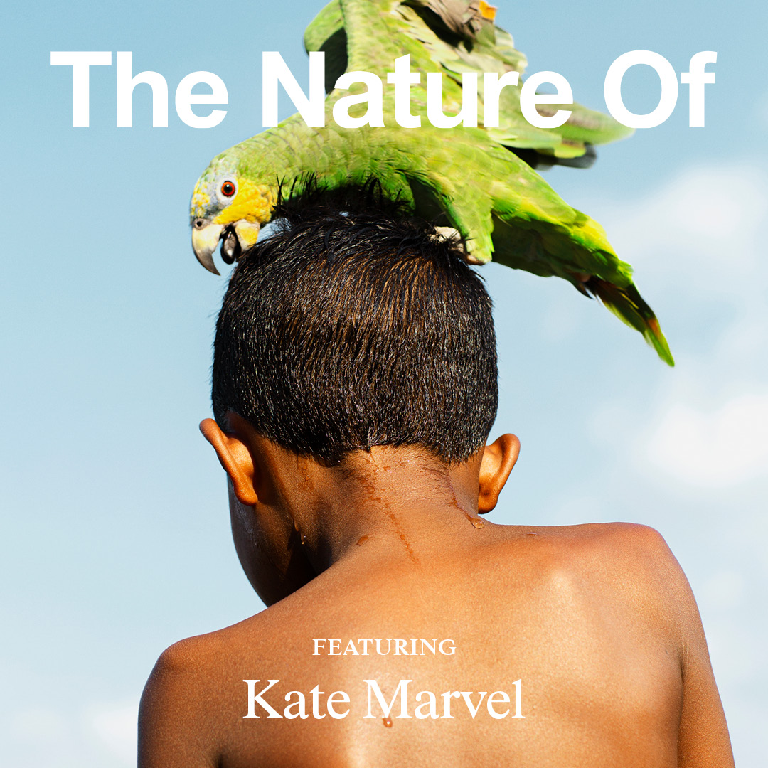 Episodic art for The Nature Of episode on Kate Marvel.