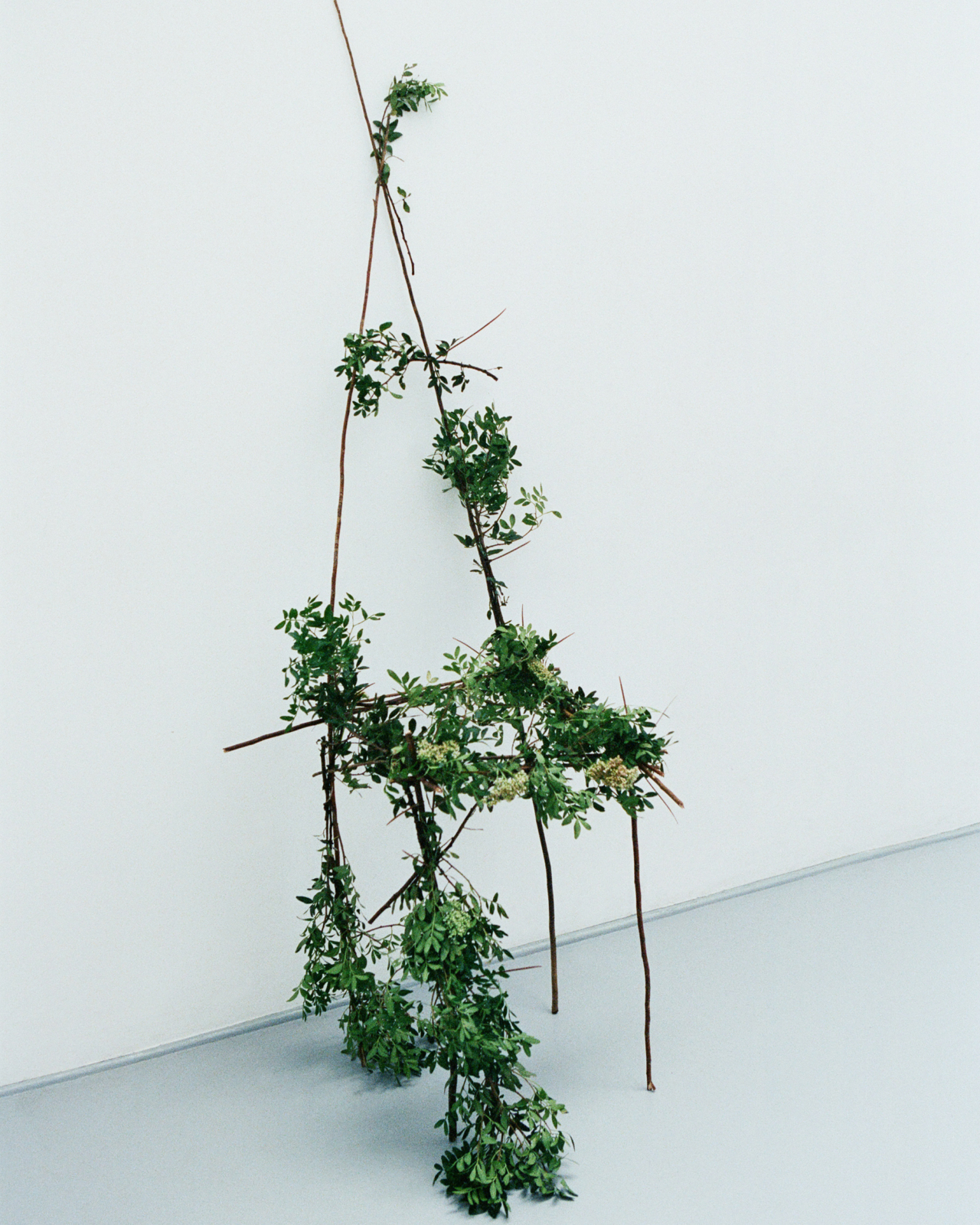 What If the Economy Was Modeled After Ecology?