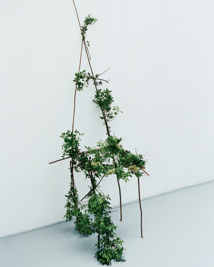 What If the Economy Was Modeled After Ecology?