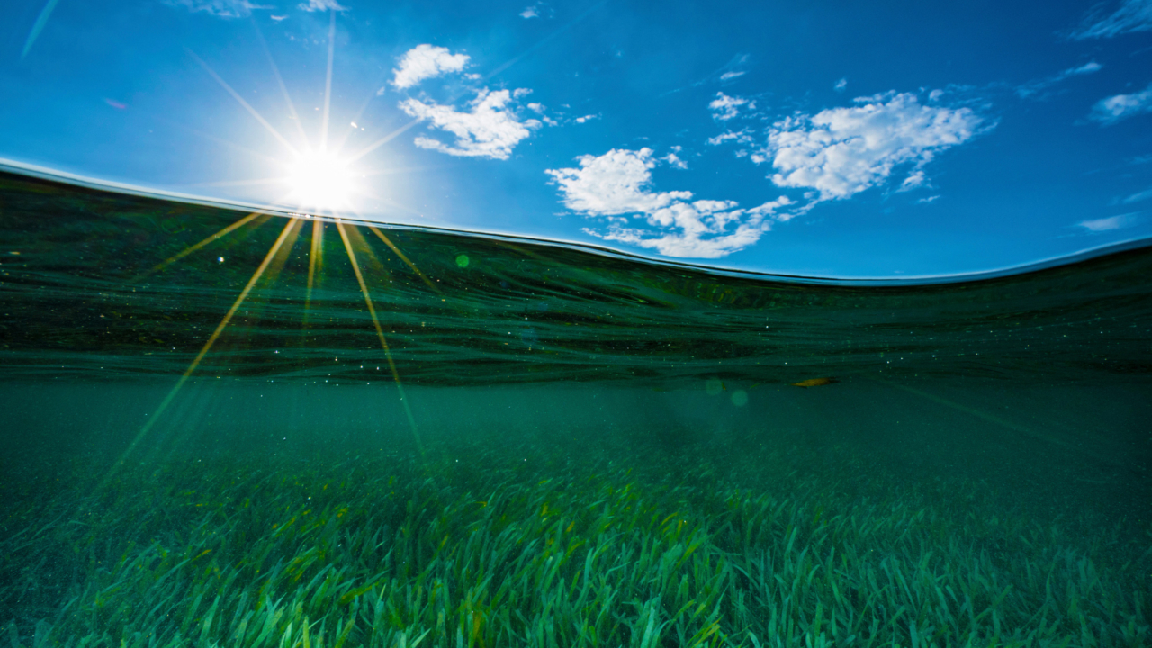 The Ocean Is the World’s Most Undervalued Economy