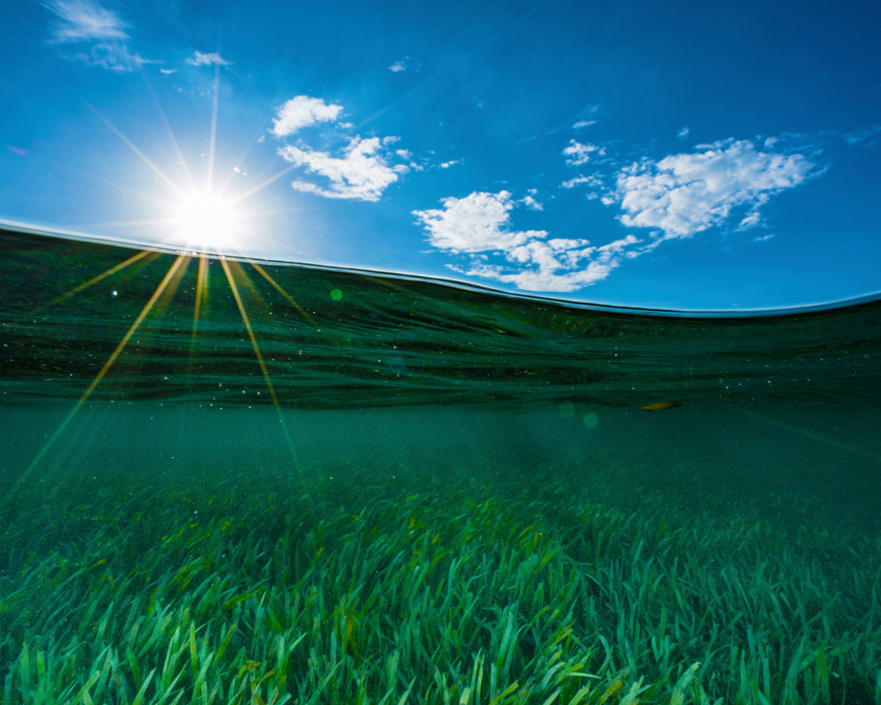 The surface of the ocean with the sun shining in the distance.
