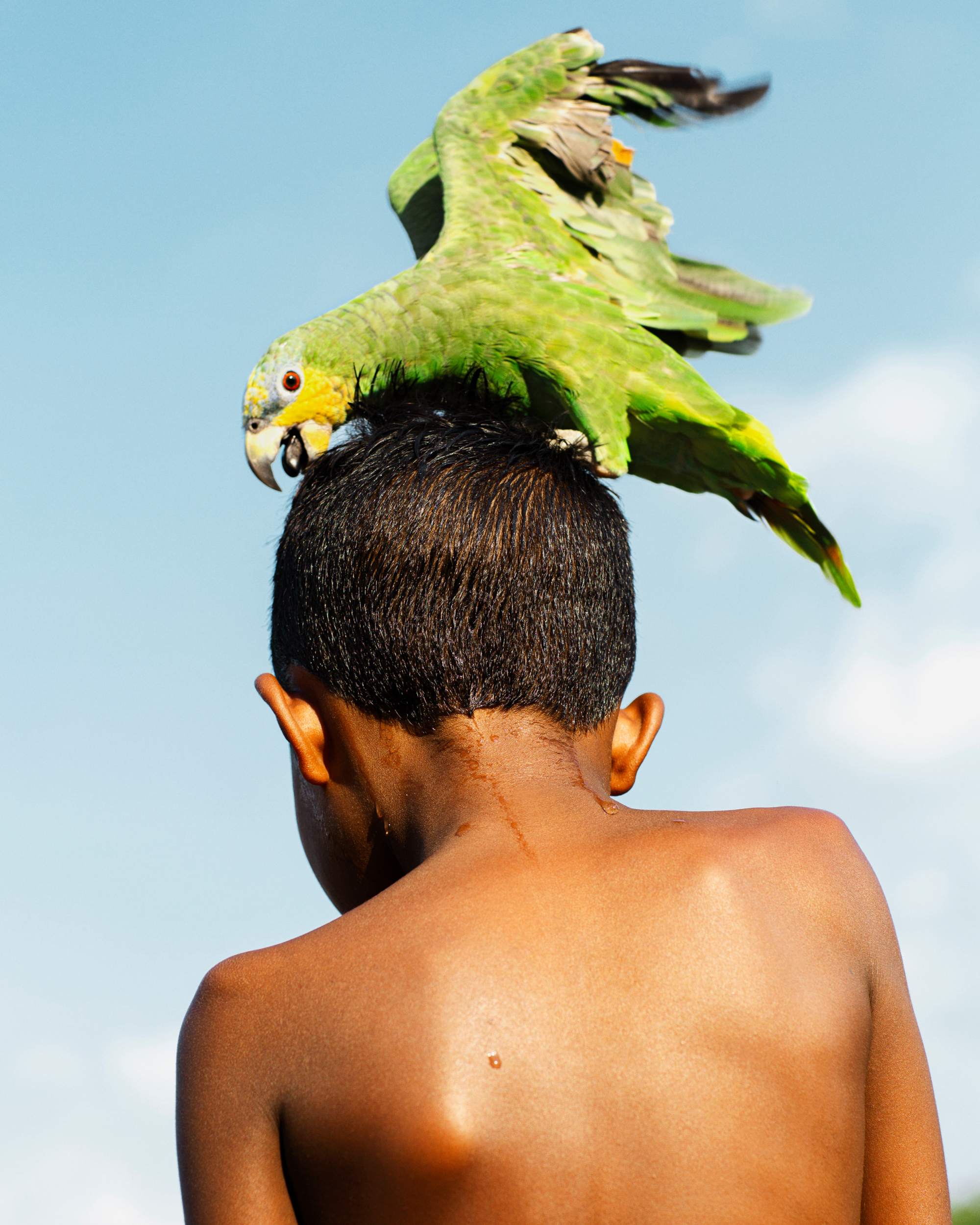 Episodic art for The Nature Of episode on Kate Marvel.