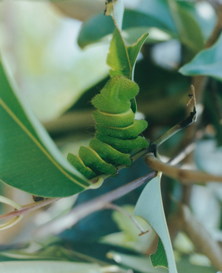 hero gallery image 2